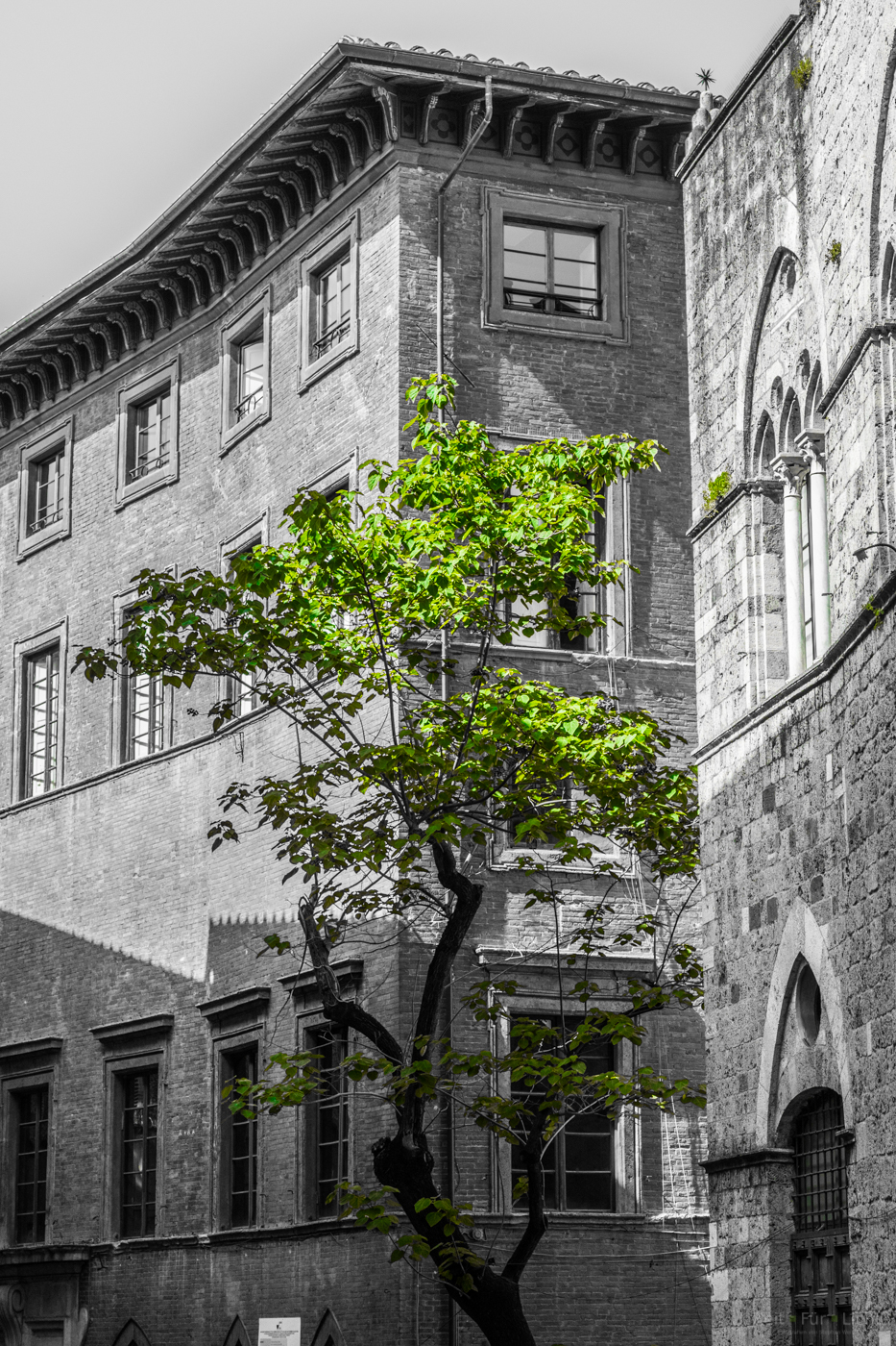 Ohne Natur geht es nicht