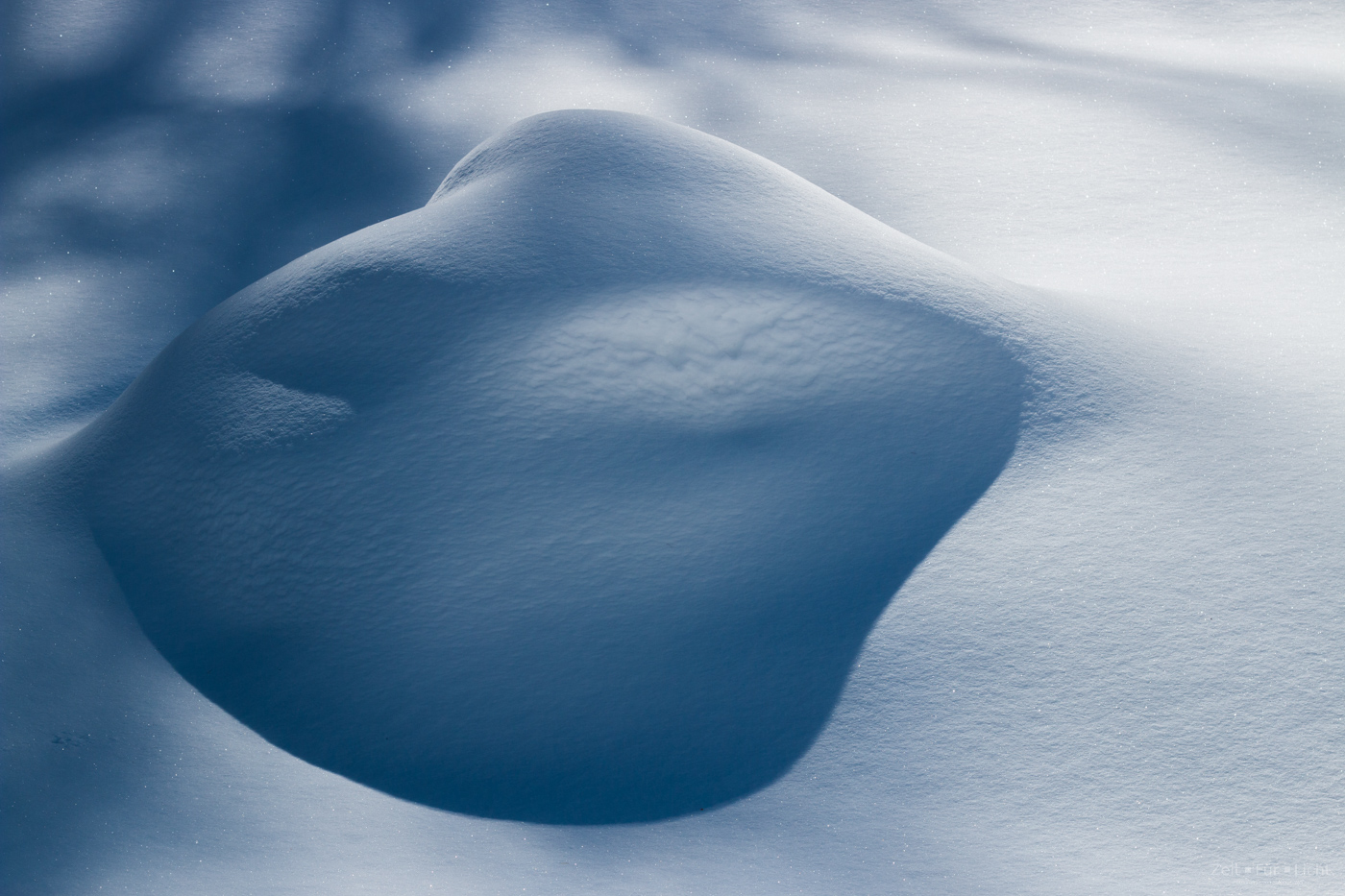 Natur IMG 6197