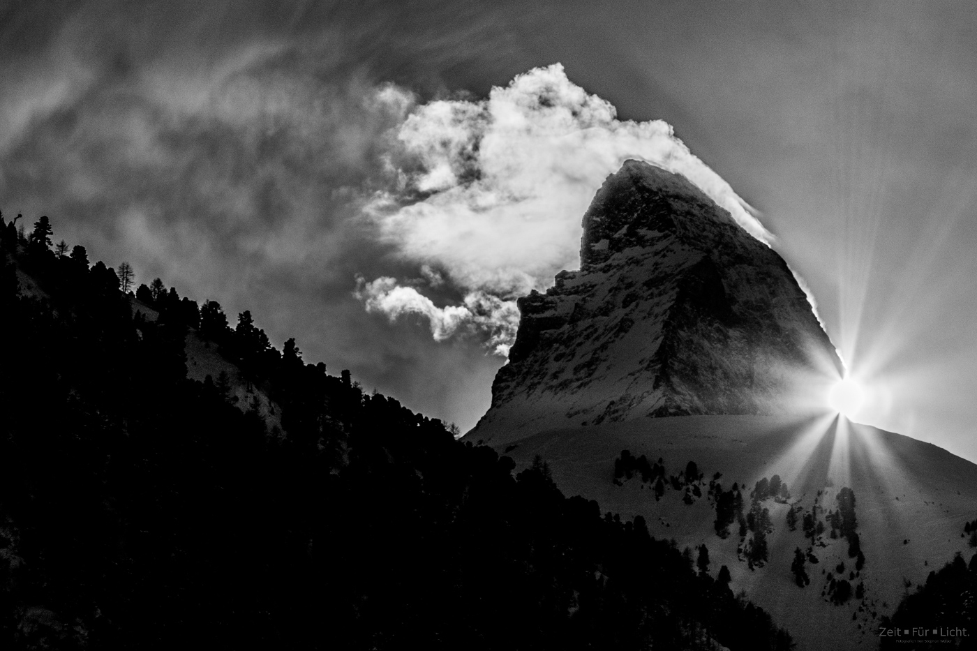 Natur IMG 6395 2